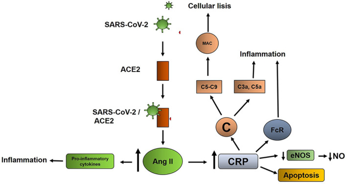 FIGURE 2