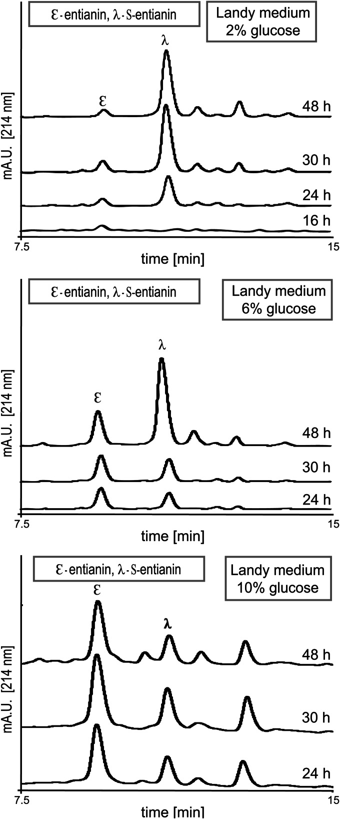 FIG 5