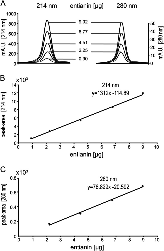 FIG 3