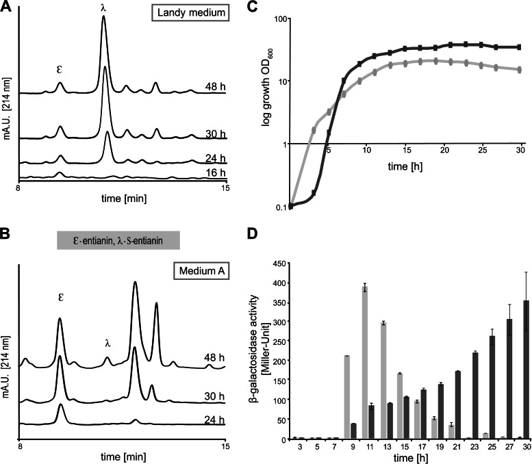 FIG 4