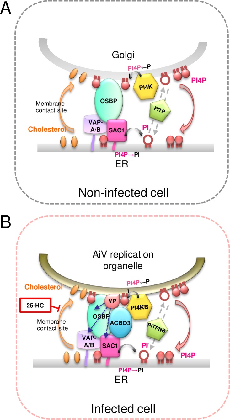 FIG 13