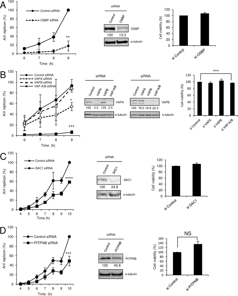 FIG 1