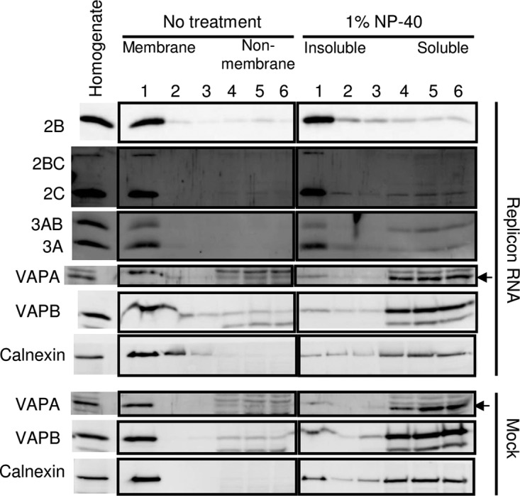 FIG 11