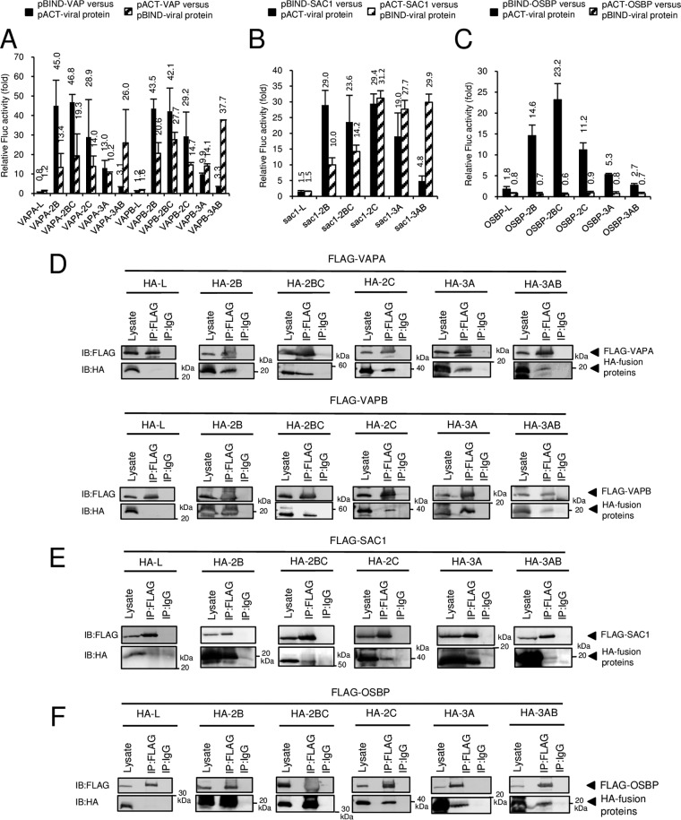 FIG 4