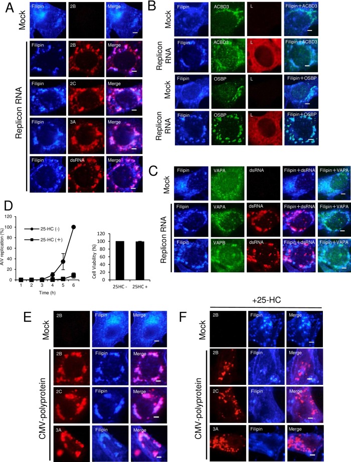 FIG 10