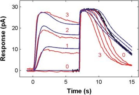 Fig. 8