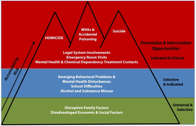 FIGURE 3—