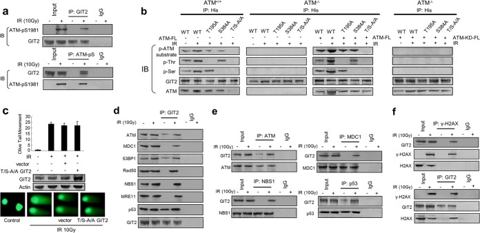 FIG 3