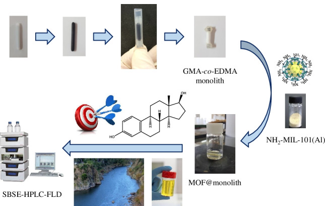 graphic file with name 604_2022_5208_Figa_HTML.jpg