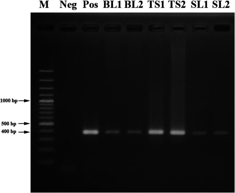 Figure 3.