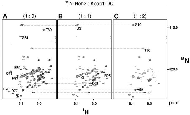 FIG. 1.