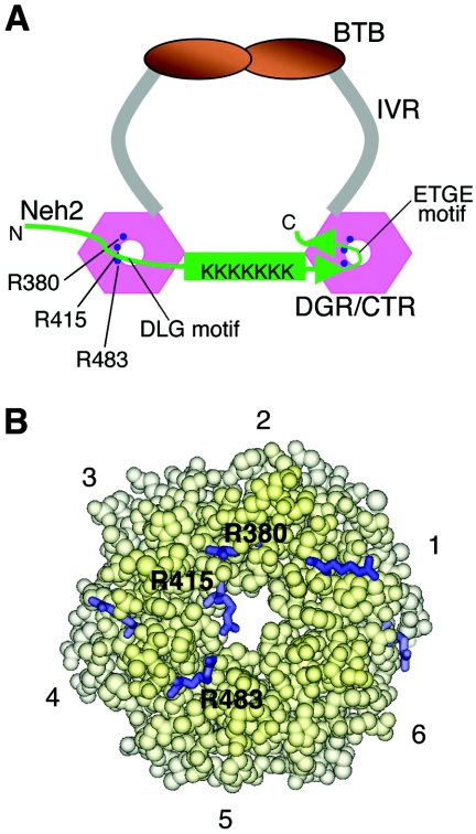 FIG. 9.