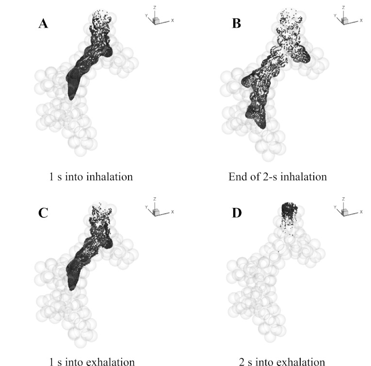 Fig. 5.