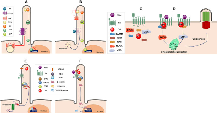 Figure 2