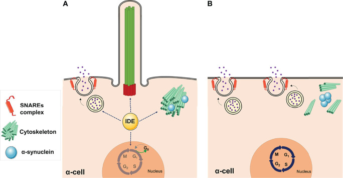 Figure 5