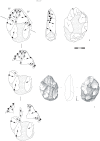 Figure 11