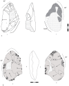 Figure 12