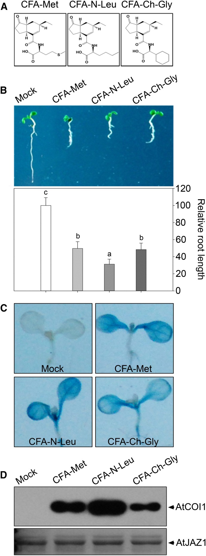 Figure 6.