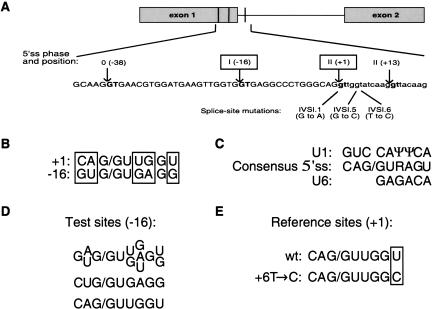 FIGURE 1.