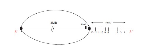 Fig. (4)