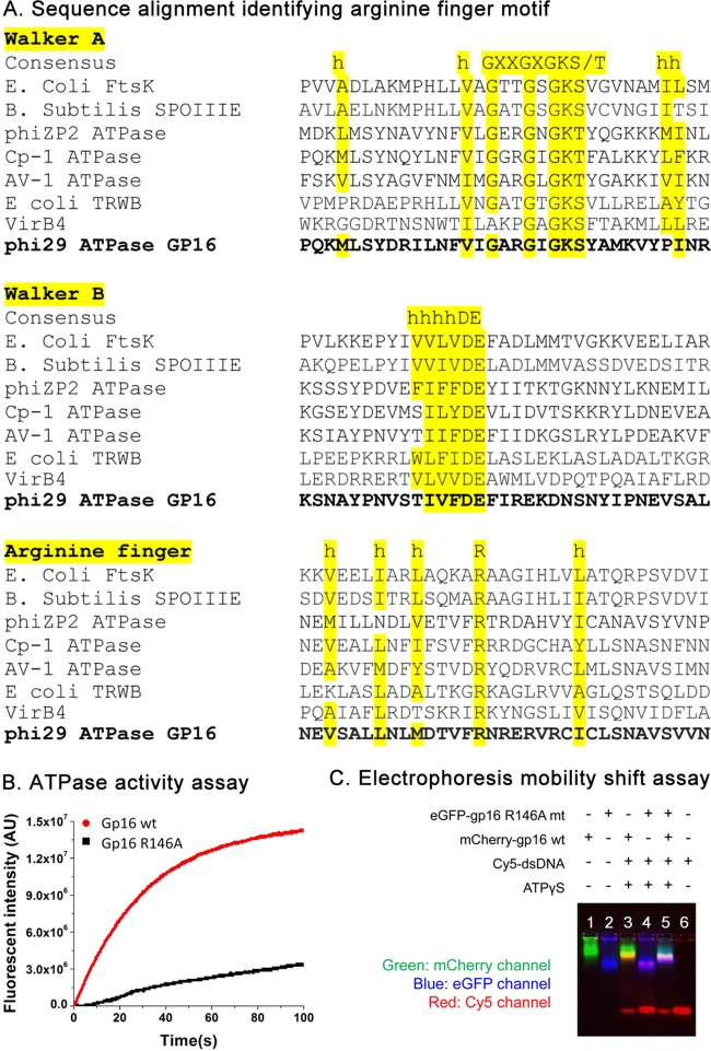 FIG 2