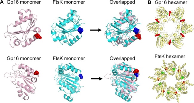 FIG 5