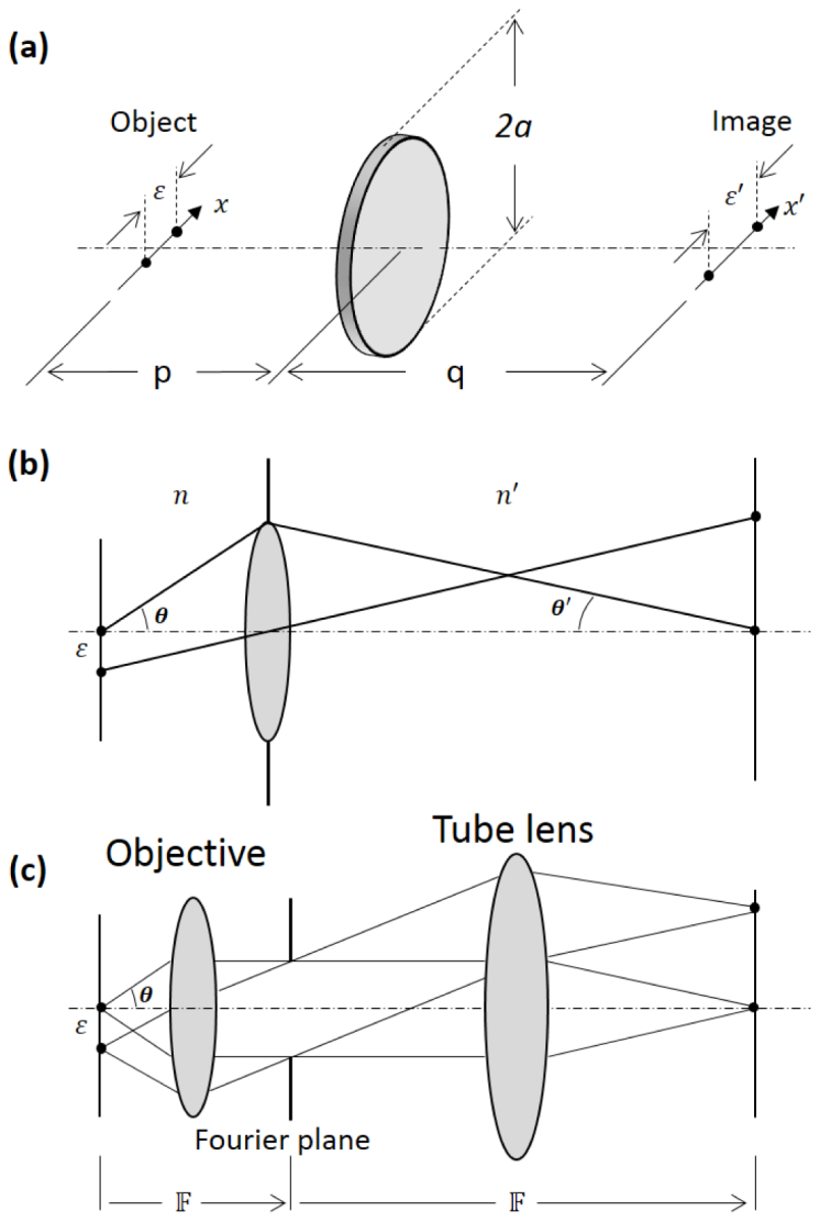 Fig. 8