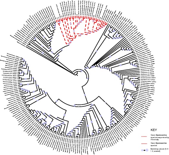 Fig. 2