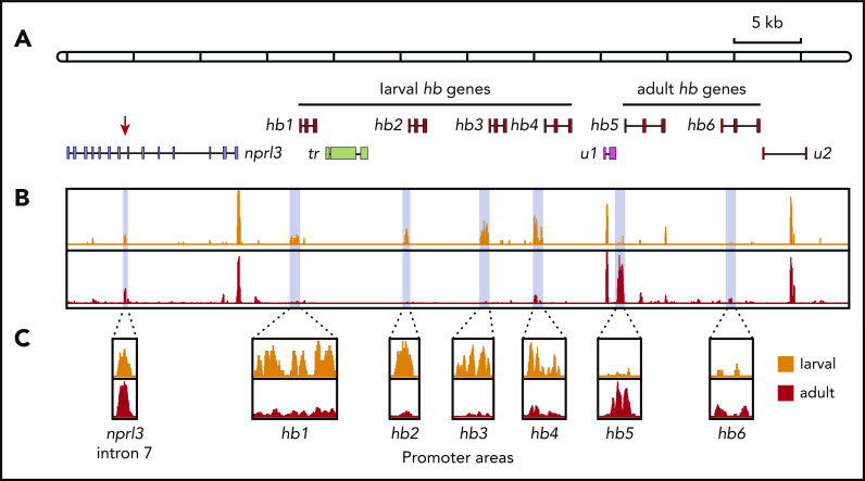 Figure 3.