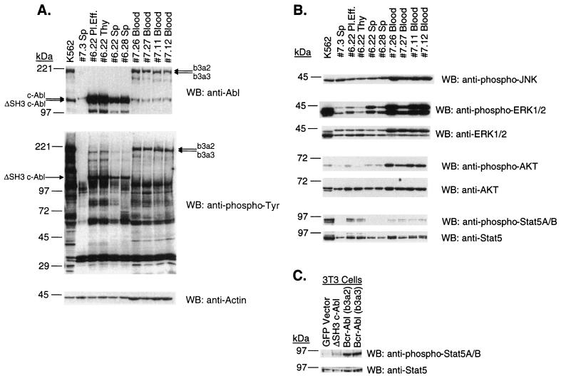 FIG. 7