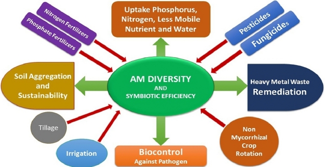 Image, graphical abstract