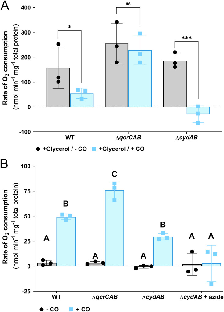 FIG 3