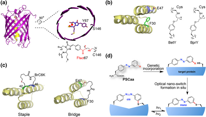 FIGURE 3