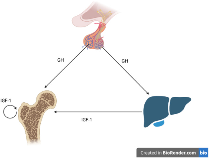 FIGURE 1