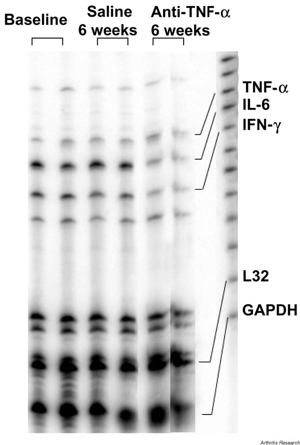 Supplementary Figure 3