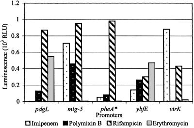 Fig 5.