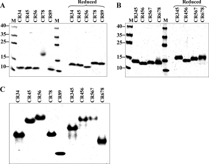 FIGURE 1.