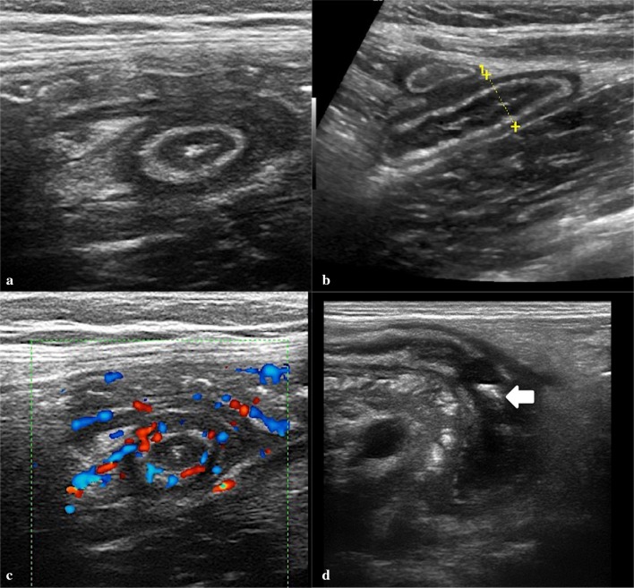 Fig. 6