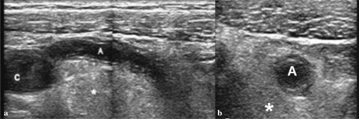 Fig. 7