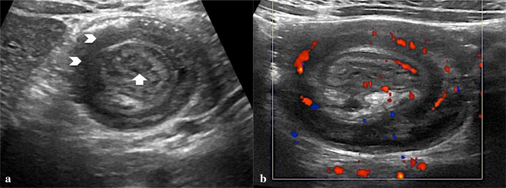 Fig. 8