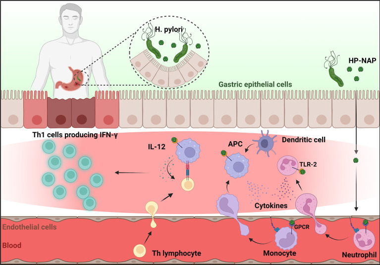 Figure 1