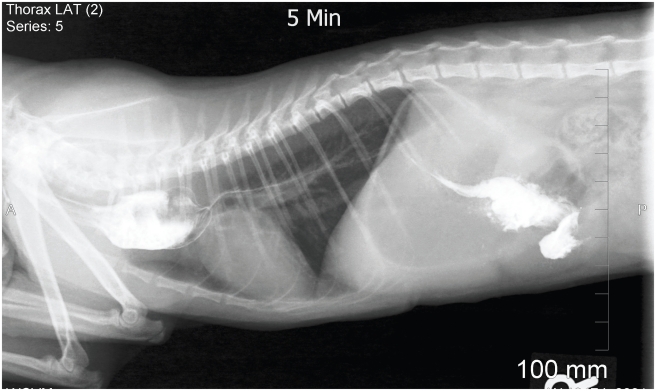 Figure 5