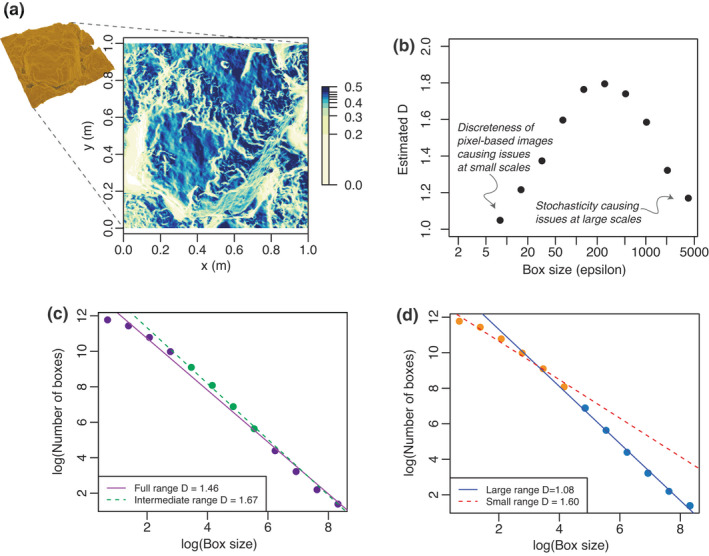 FIGURE 3