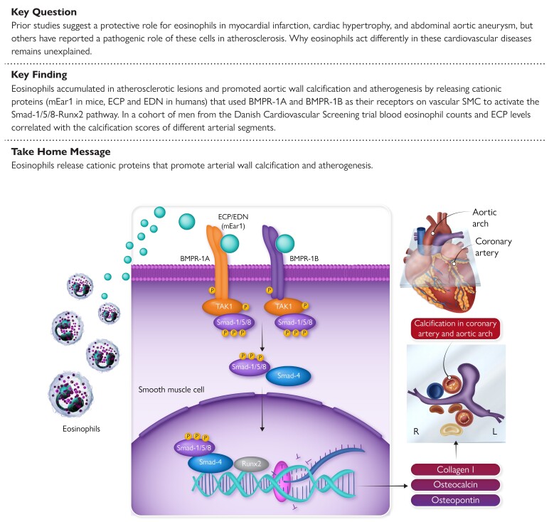 Structured Graphical Abstract