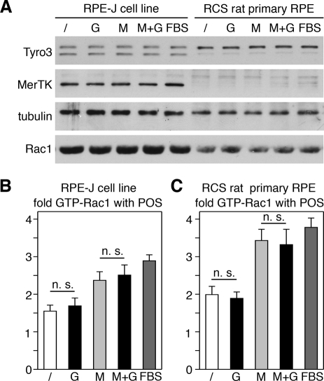 FIGURE 9: