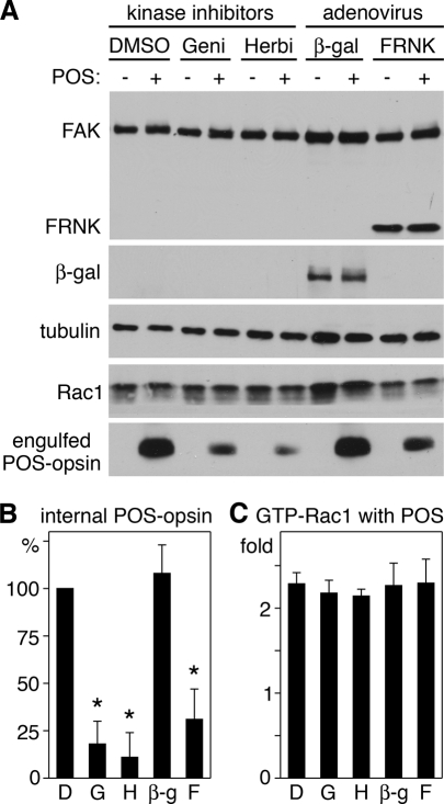 FIGURE 10: