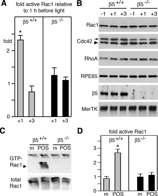 FIGURE 6: