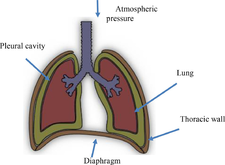 Fig 1: