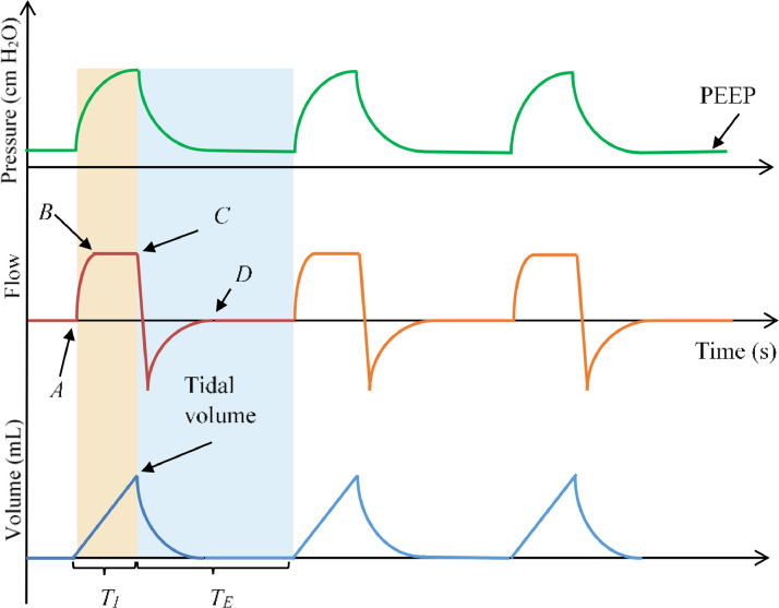 Fig 3: