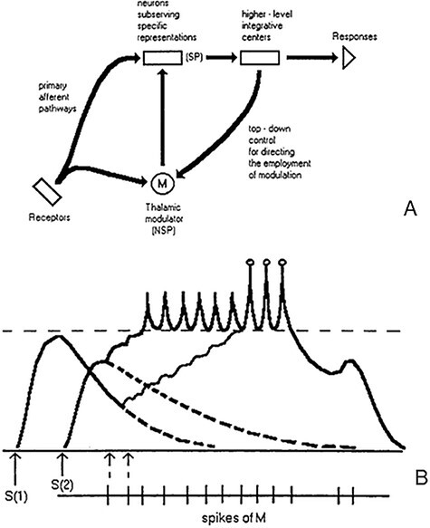 Figure 1.